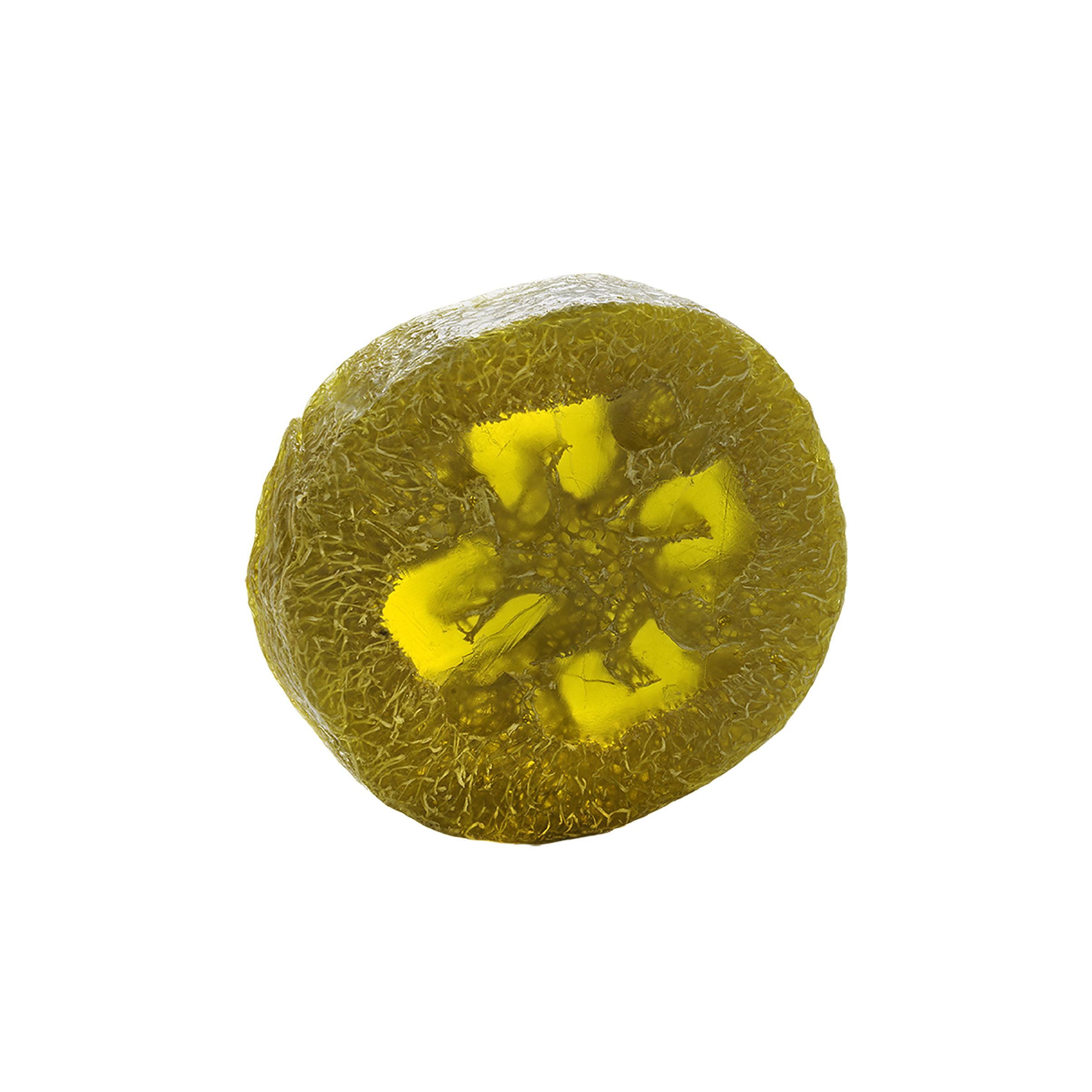 fussloofahseifecitrus_d5c32491-1686-4537-89d4-31c7f7407b15.png